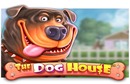 the dog house